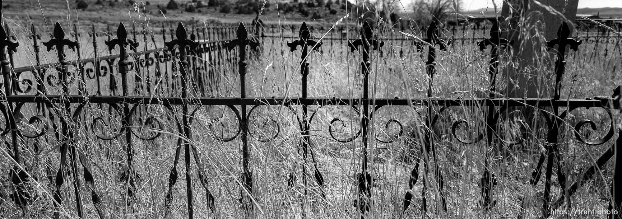 Iron fence in Eureka graveyard