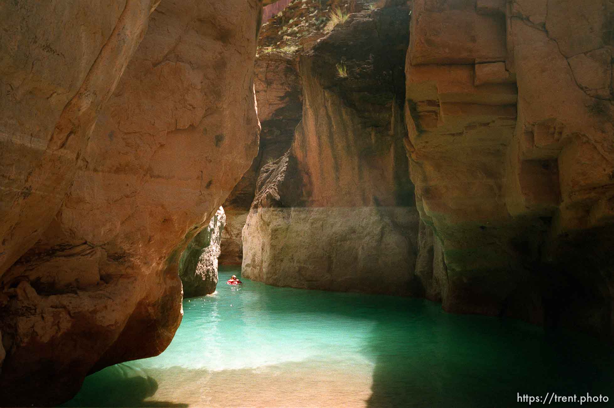 Jack Bozarth swimming. Grand Canyon flood trip.