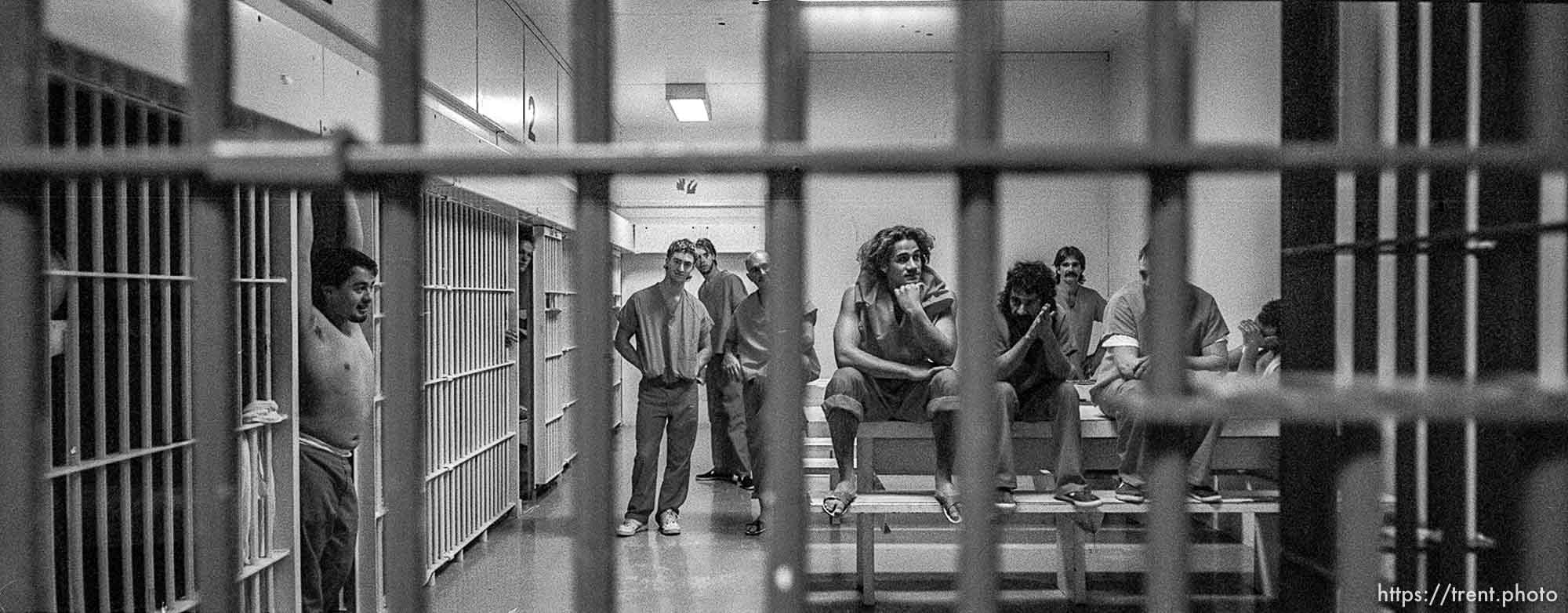 Inmates in Cellblock 1, Utah County Jail, where they receive minimal supervision. Believe it or not, this is a different phot that the one Ryan Miller did for us. Probably the same cell, though. photo by trent nelson 19960321