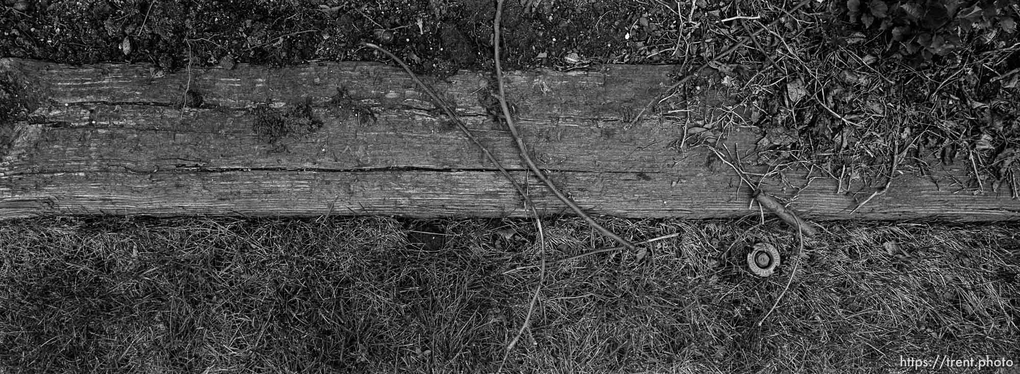 Railroad tie and sprinkler head in backyard