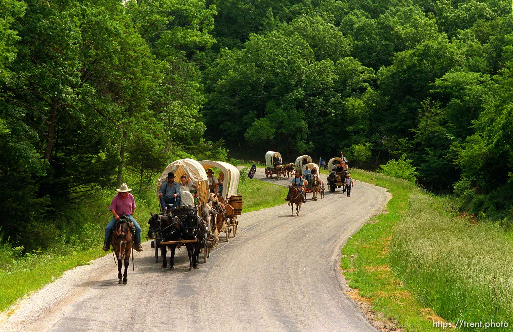 Wagons on the road at Mormon Wagon Trail re-enactment