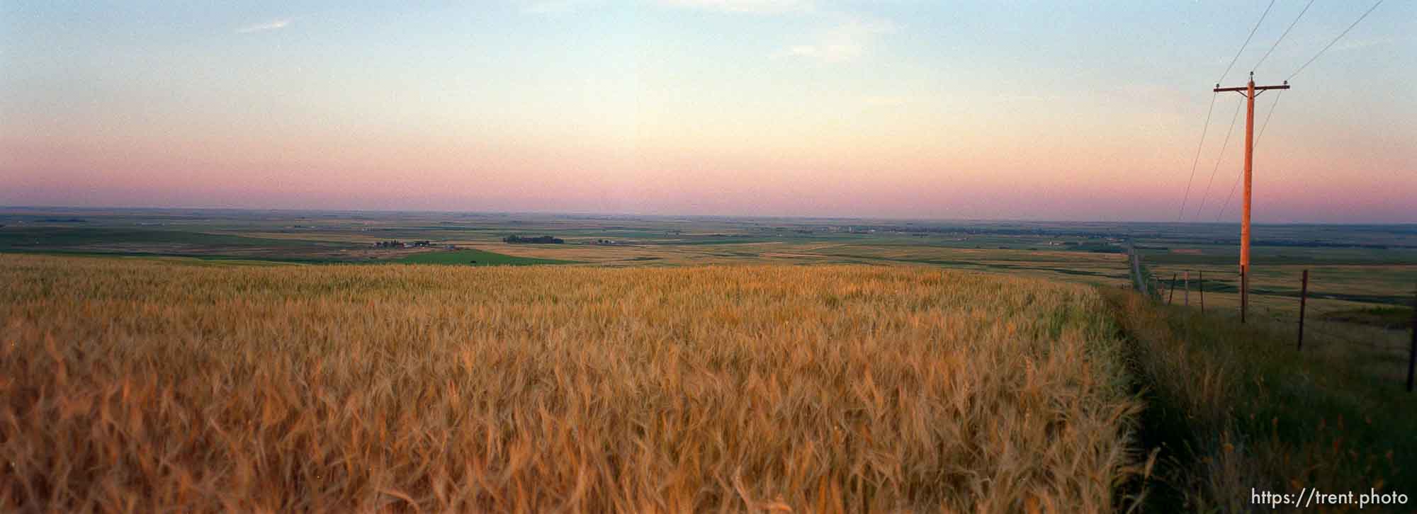 View of barley field and Magrath and beyond from hill