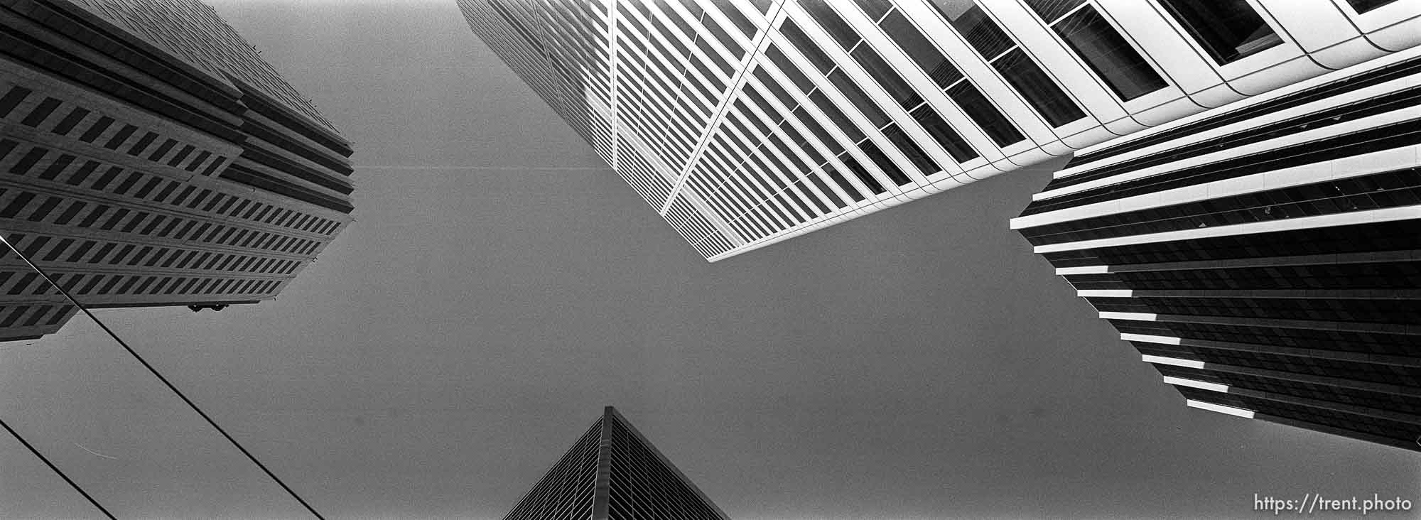 Looking up at high-rises