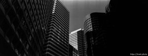 Looking up at high-rise buildings.