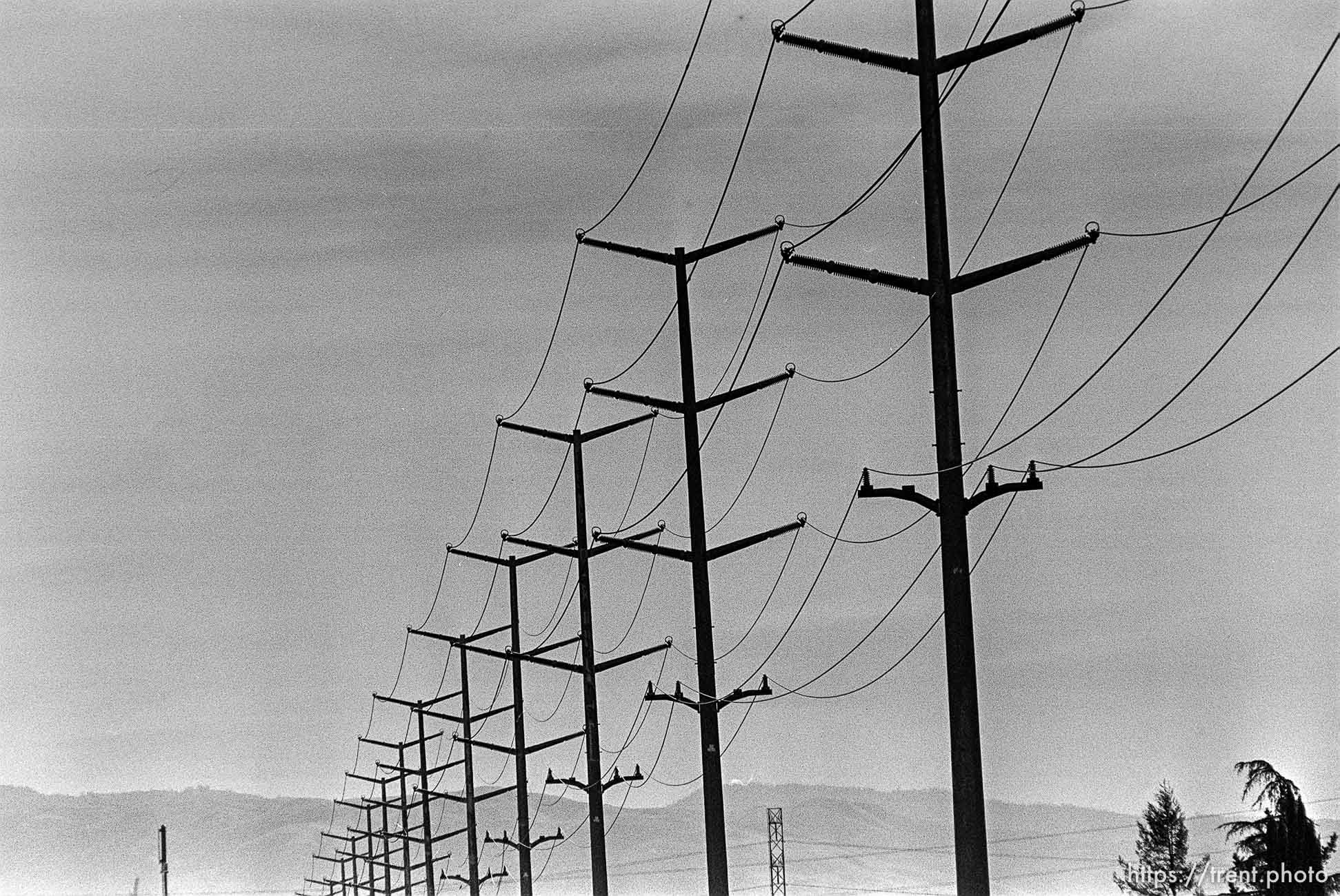 Powerlines along San Ramon Creek