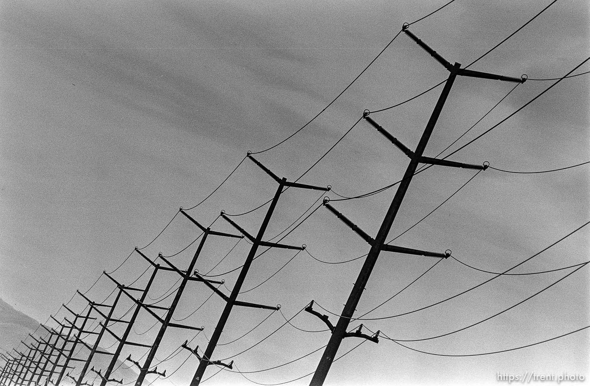 Powerlines along San Ramon Creek