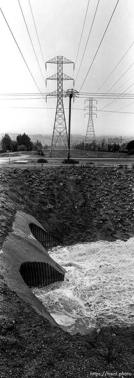 View of San Ramon Creek and powerlines