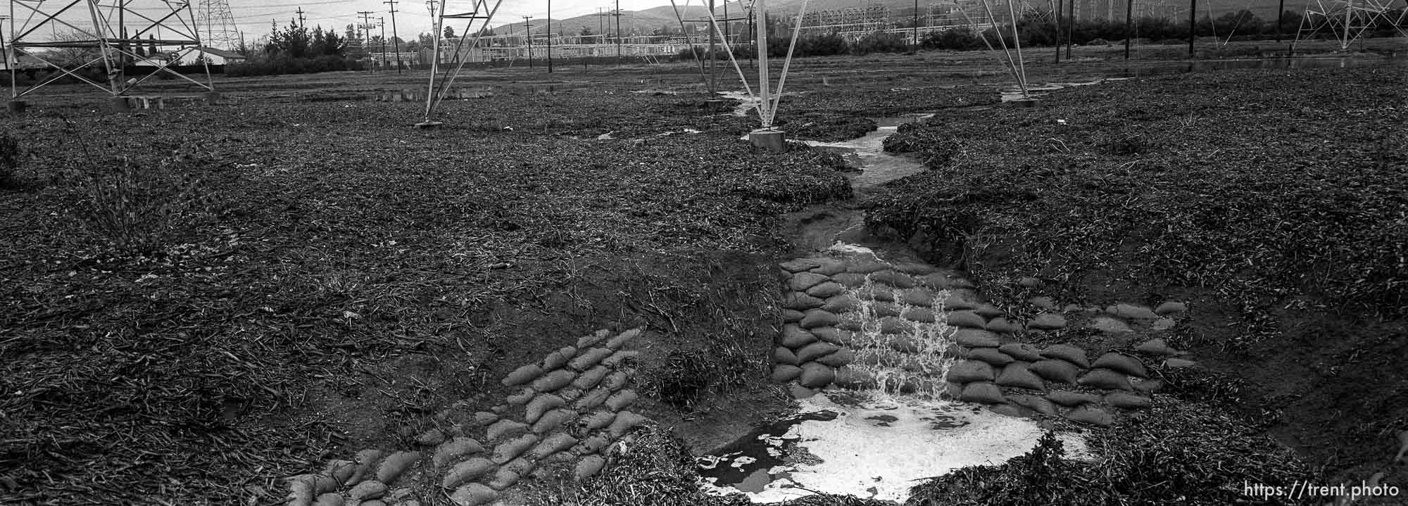 Powerlines and sewer, creek area