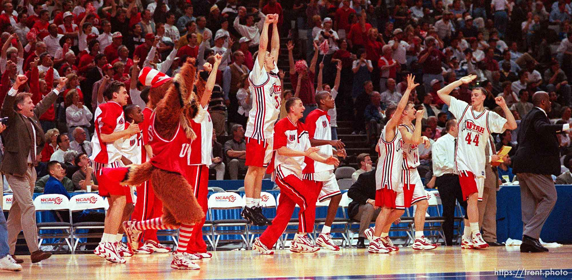 Utah team celebrates victory at Utah vs Stanford, NCAA Tournament.