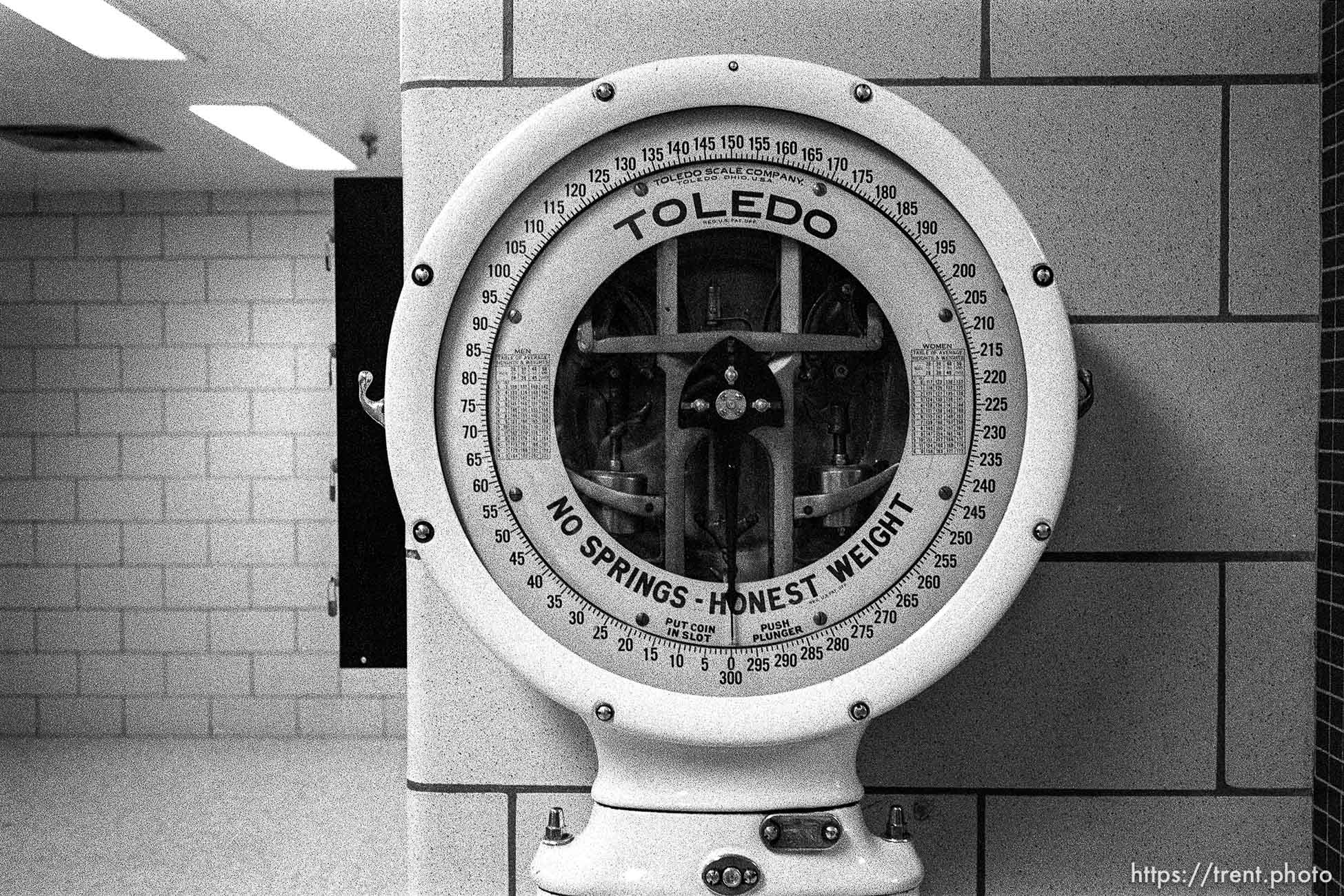 Scale in the mens' locker room at the Deseret Gym.