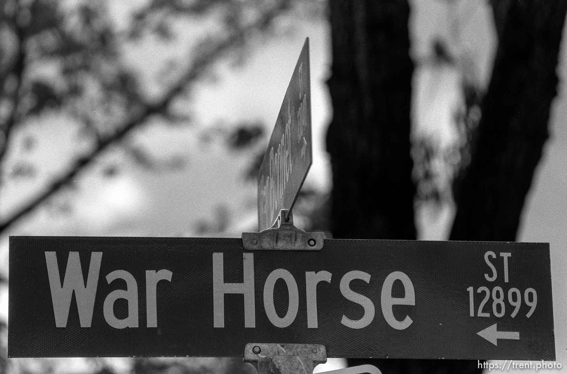 War Horse St sign