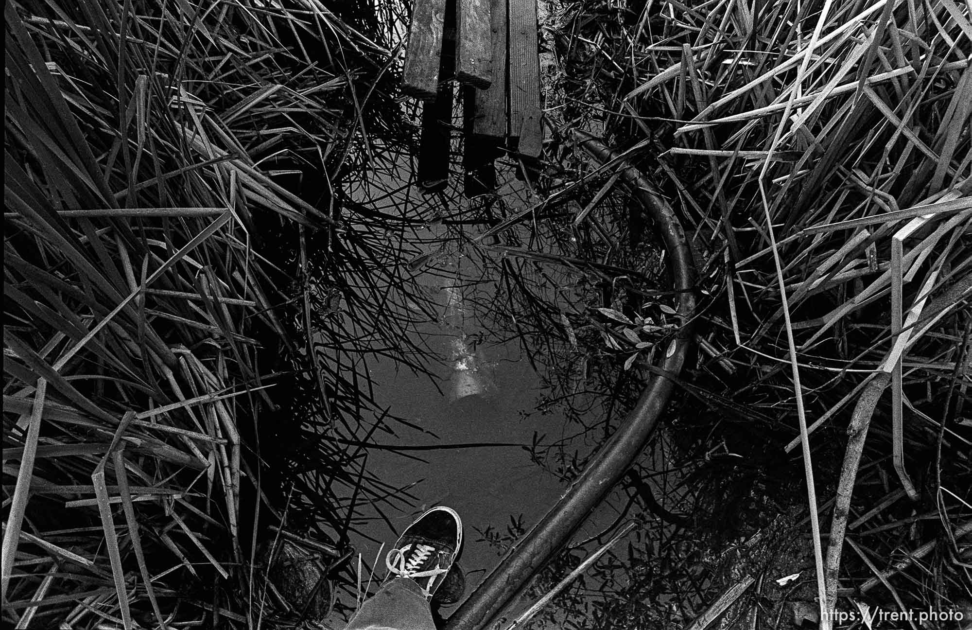 Trent feet and planks over water in canyon where we used to hike and play.