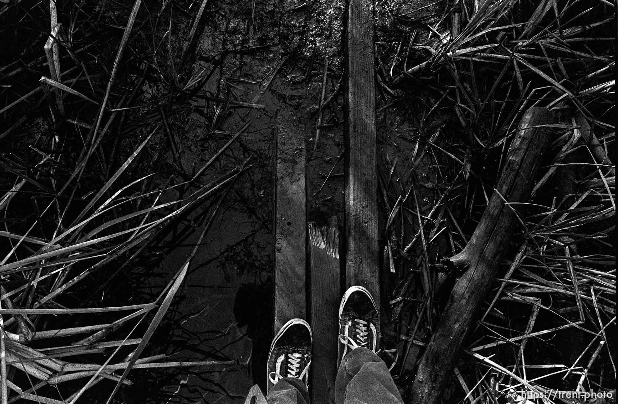 Trent feet and planks over water in canyon where we used to hike and play.