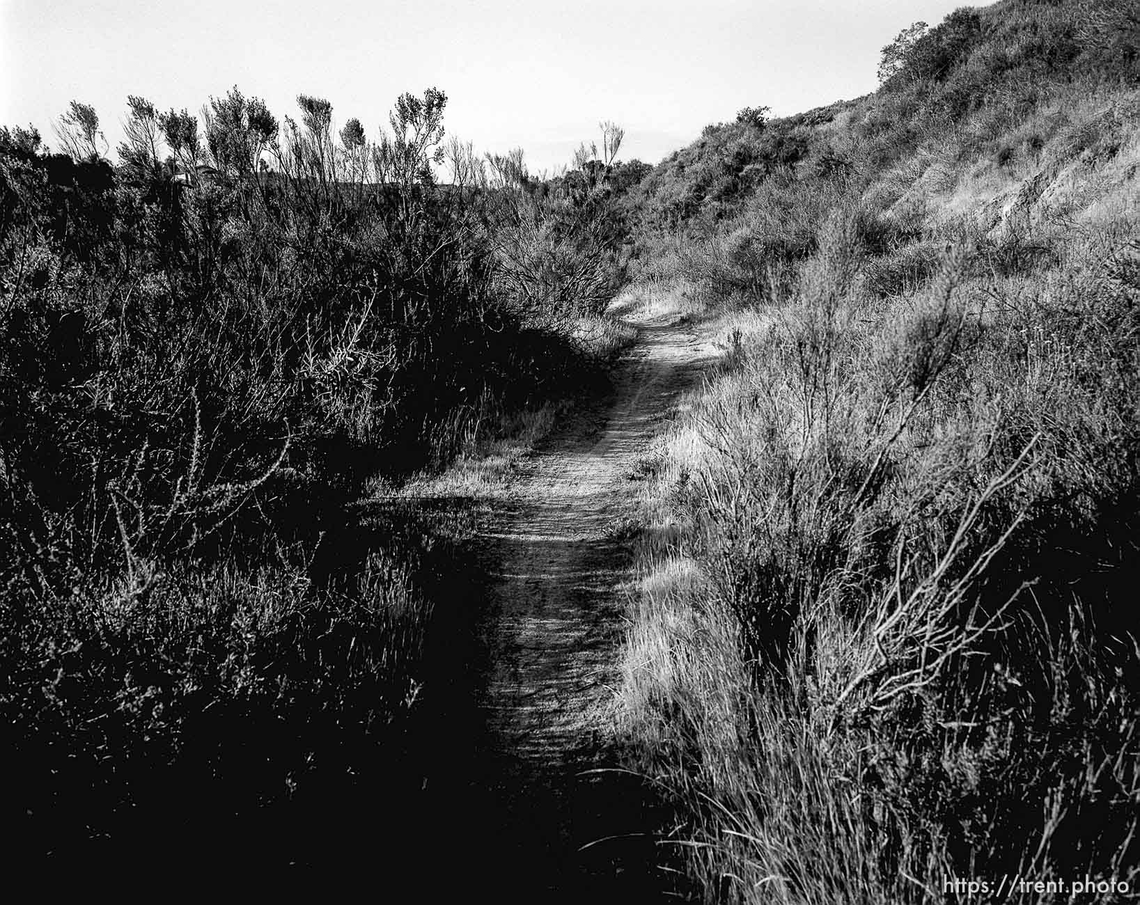 Trail in canyons I used to play in