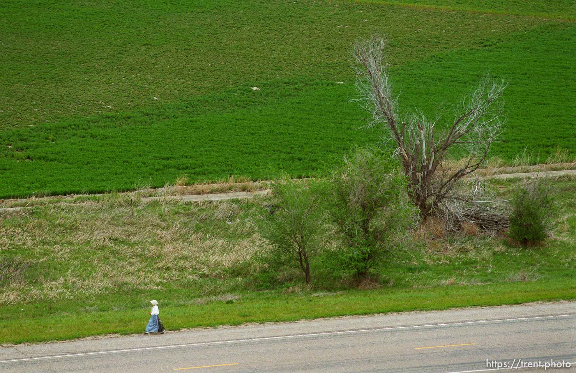 Mormon Trail Wagon Train seen from the top of a grain elevator at Jack's Bean Company.