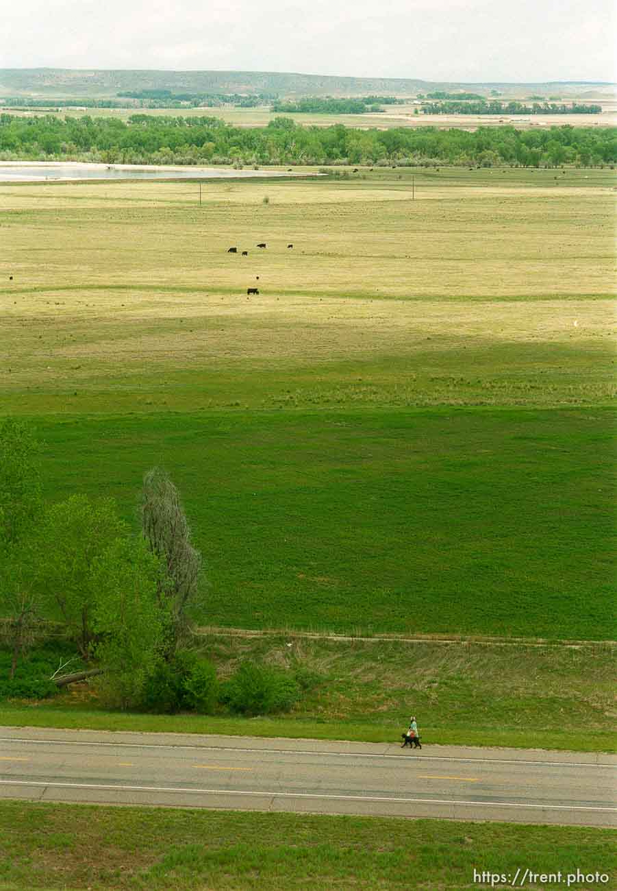 Mormon Trail Wagon Train from the top of a grain elevator at Jack's Bean Company.