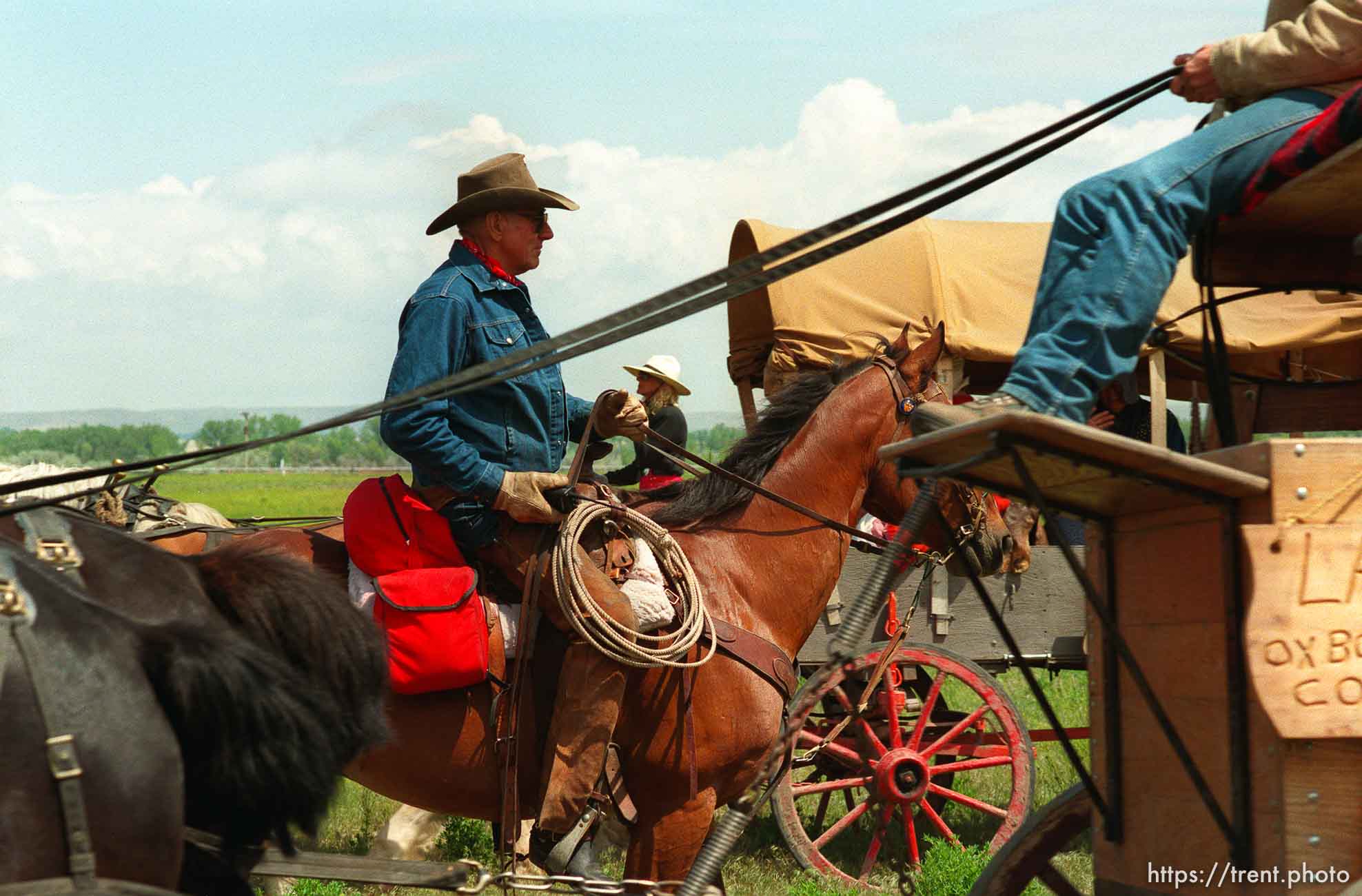 Joe Vogel, wagon-master for Nebraska leads wagons into a lunch stop on the Mormon Trail Wagon Train.