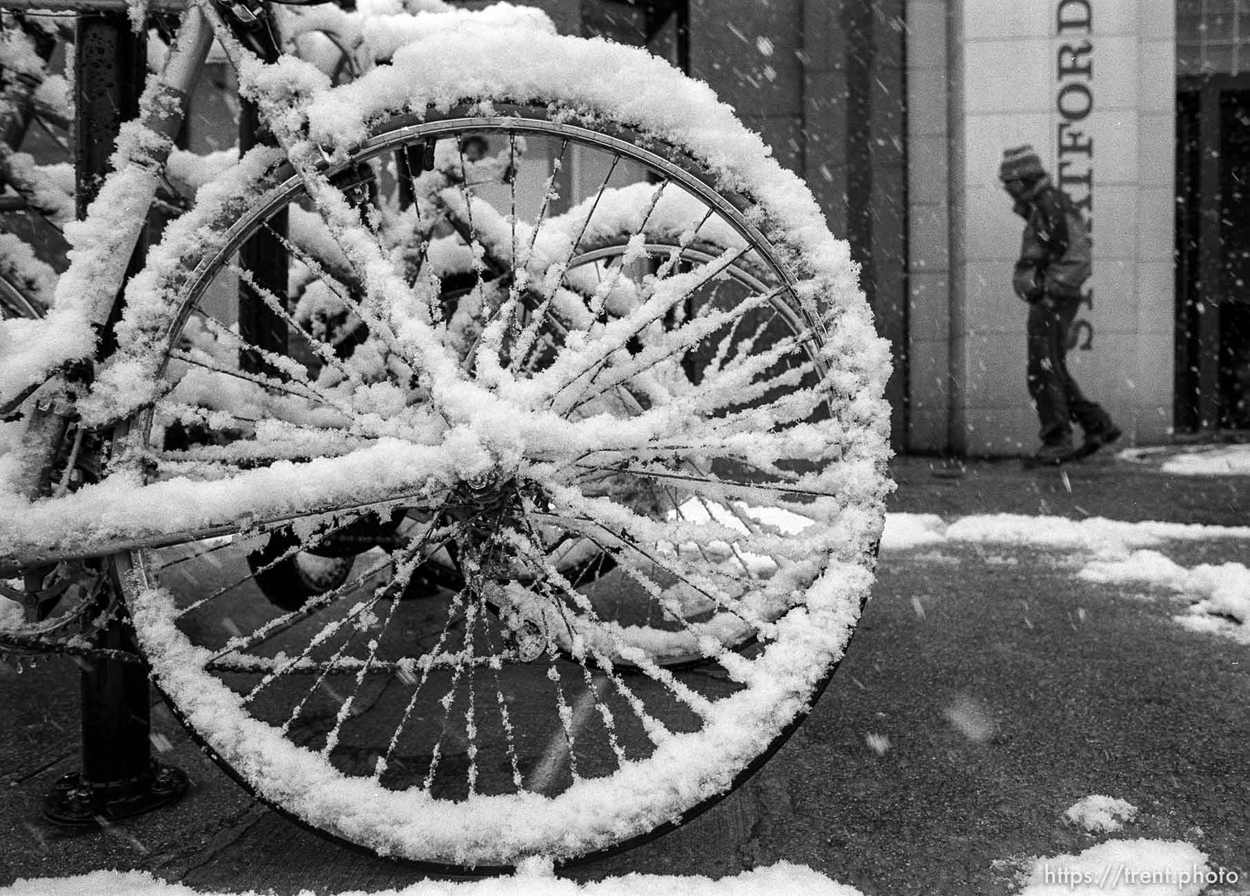 Snow on a bike tire.