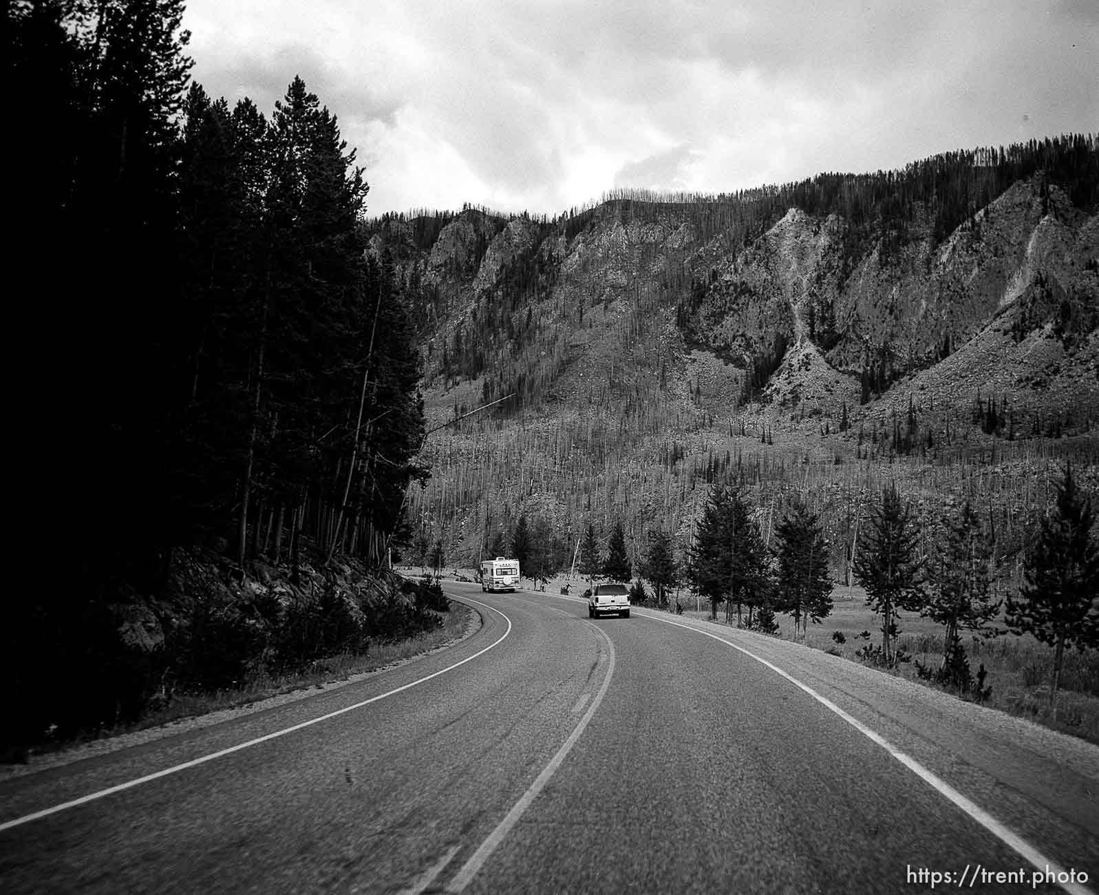 Cars driving through Yellowstone.