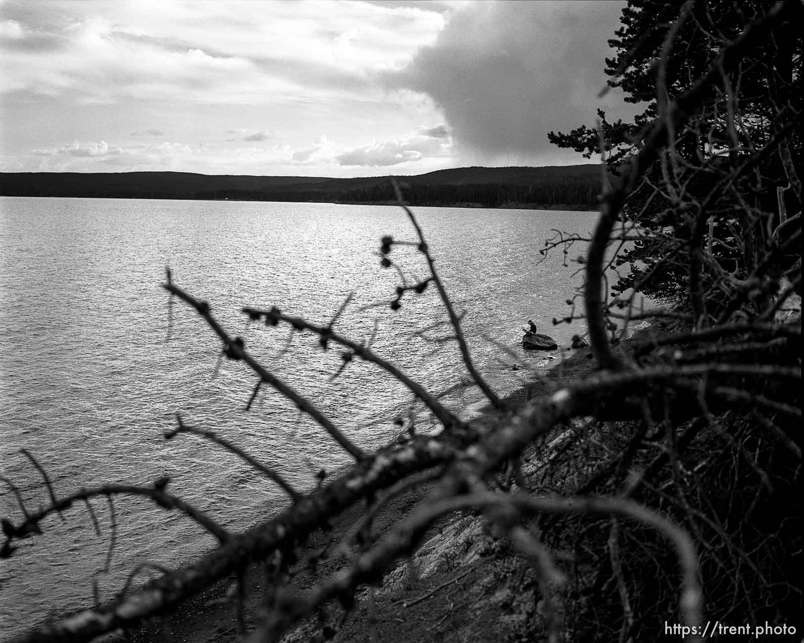 Woman reading on shore of Yellowstone Lake