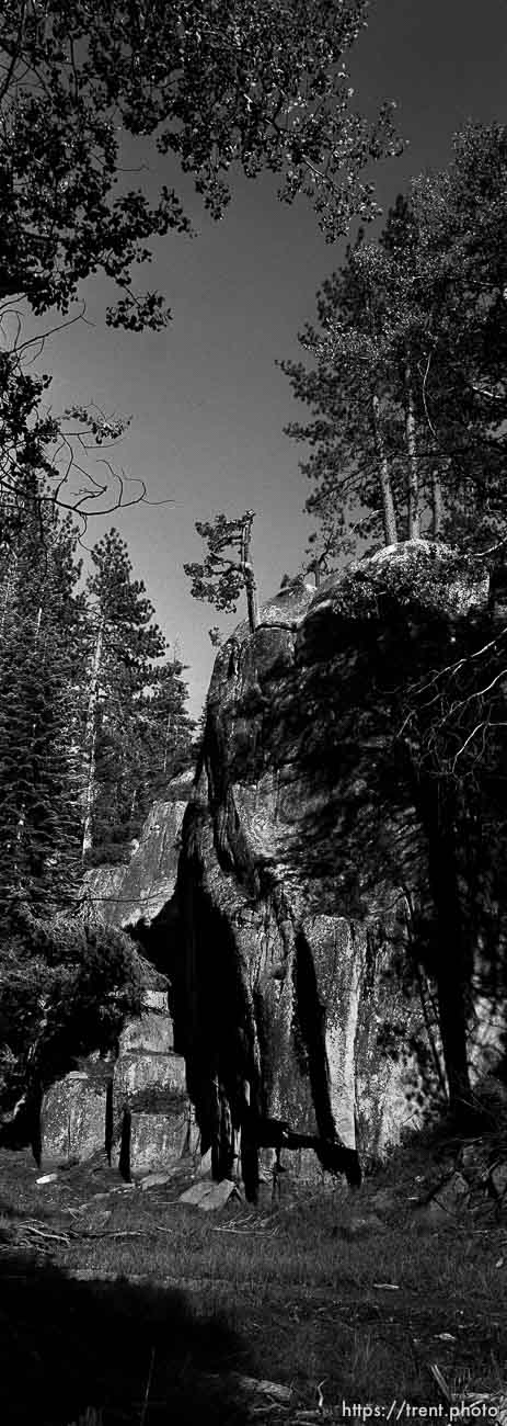 Rock and trees at Sword Lake on the trail to Gabbot Meadow