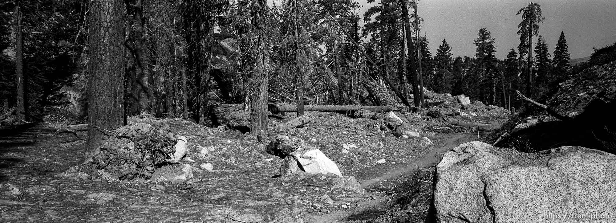 avalanche on trail to Sword Lake