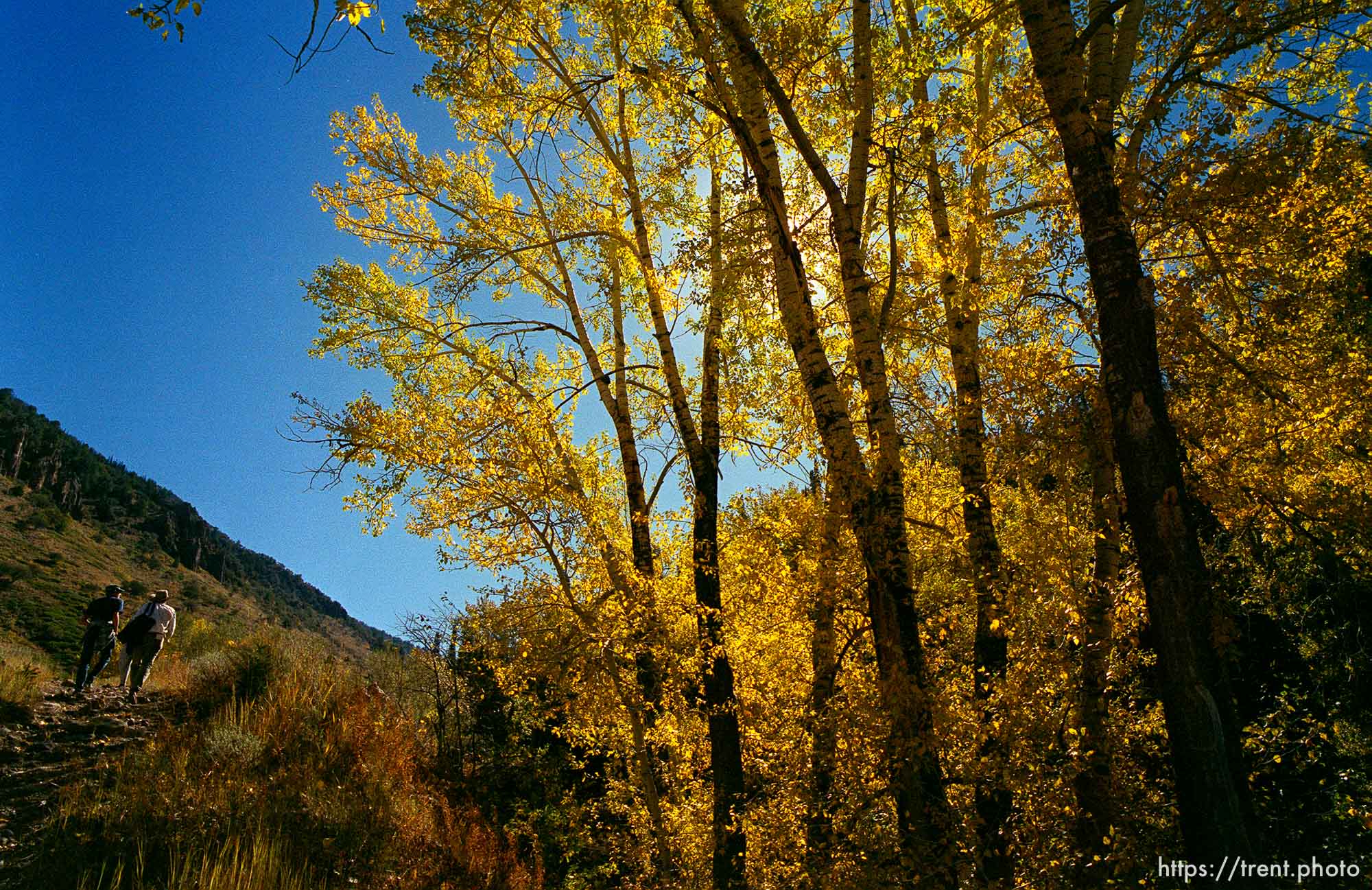 Hikers along South Canyon Road in the Jarbidge National Forest.