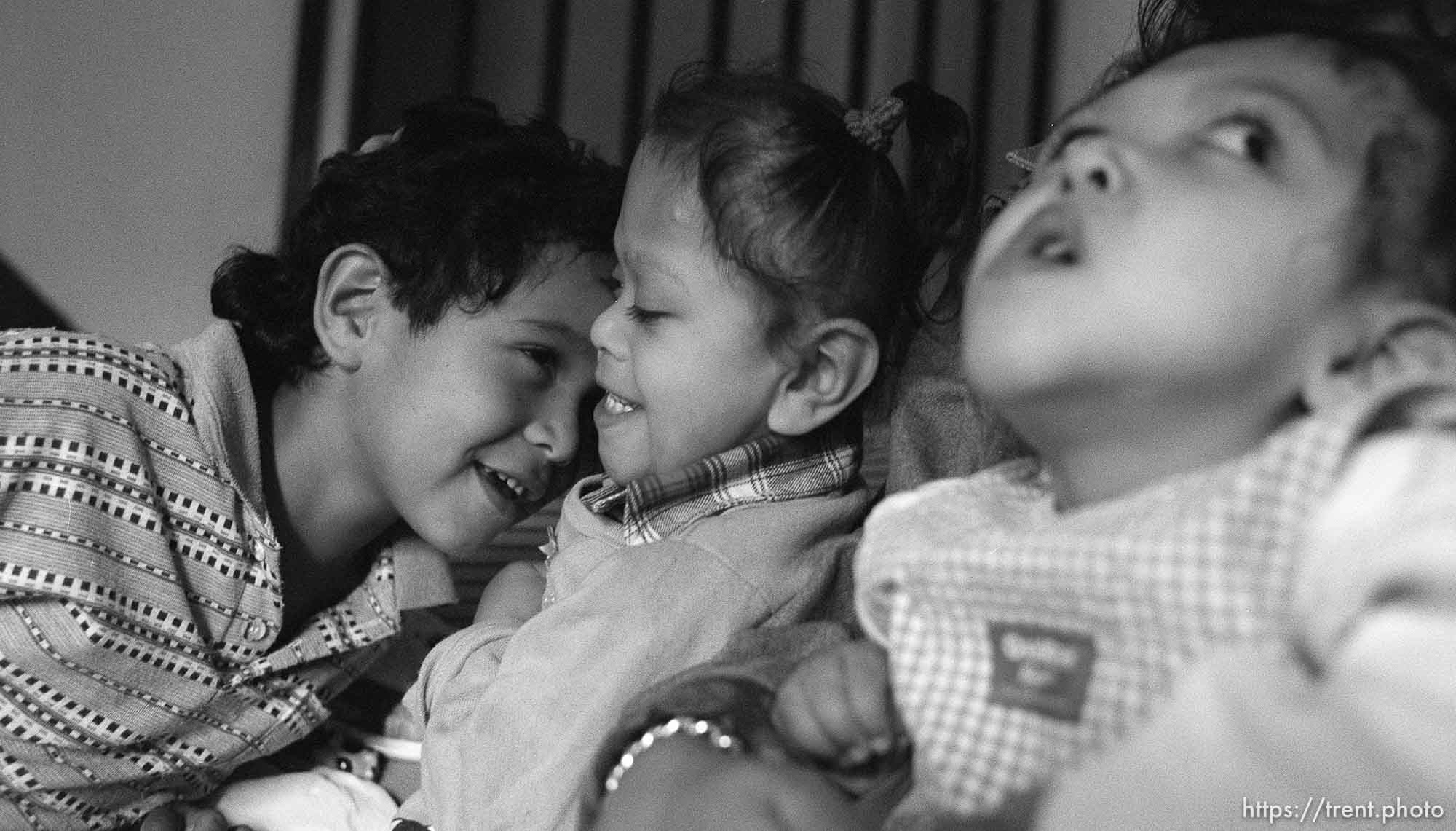 Hexi leans in to play with Doris. Bessy at right. Formerly conjoined twins, Bessy and Doris Gonzales.