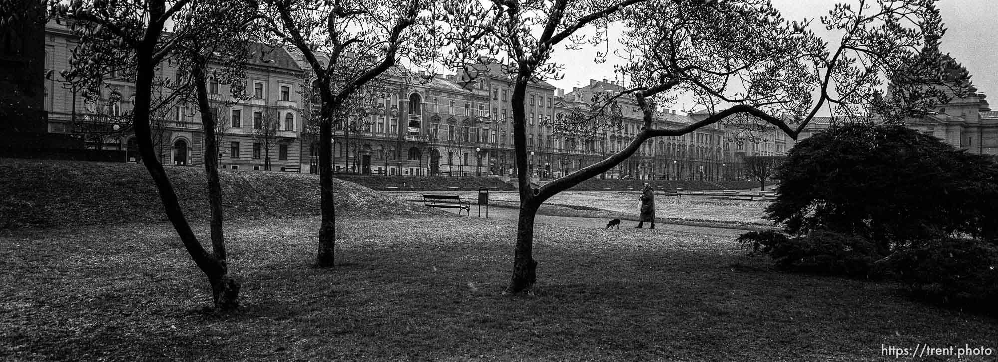 Woman walking her dog through a park.