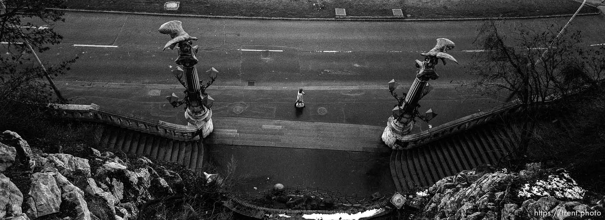 Woman walking (from above)