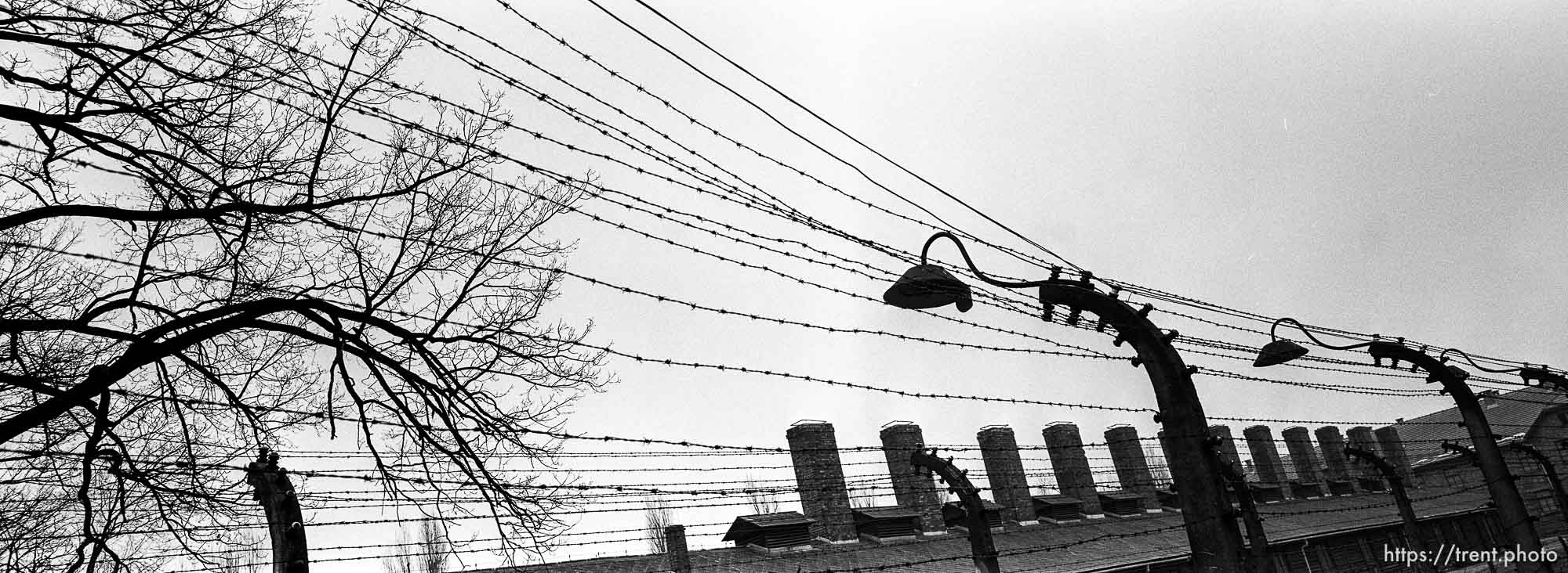 Barbed wire at the Auschwitz Concentration Camp.