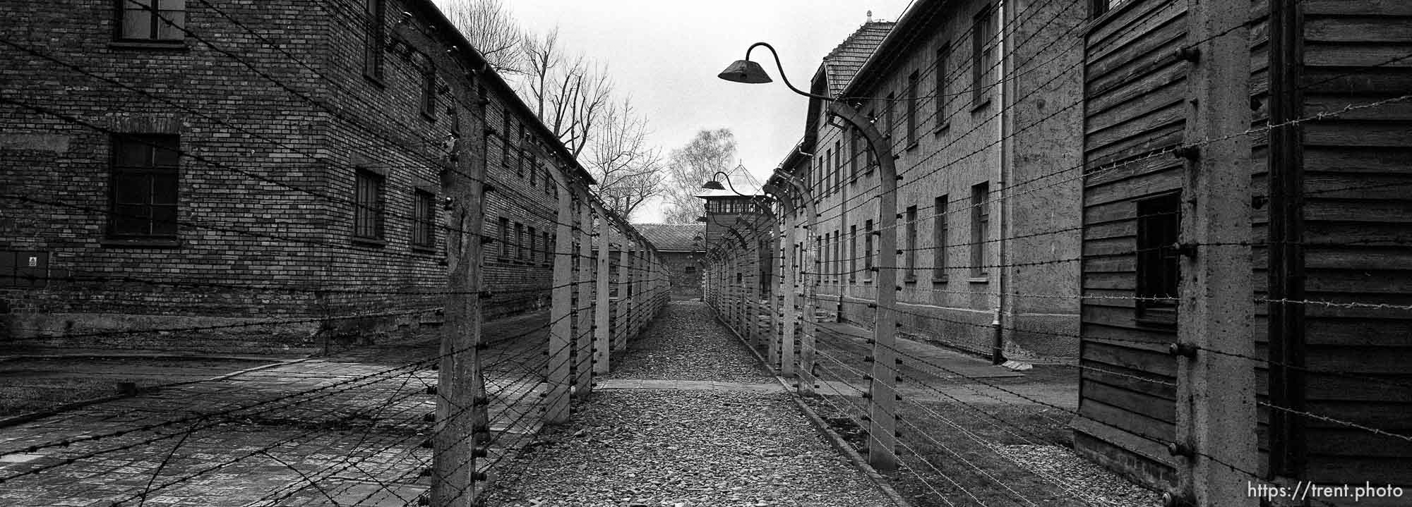 Fencing at the Auschwitz Concentration Camp.