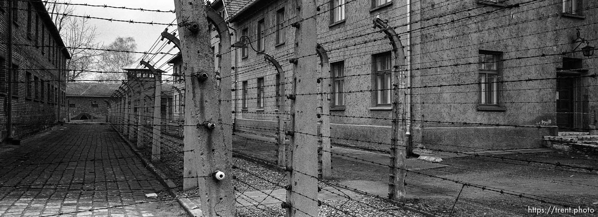 Fencing at the Auschwitz Concentration Camp.