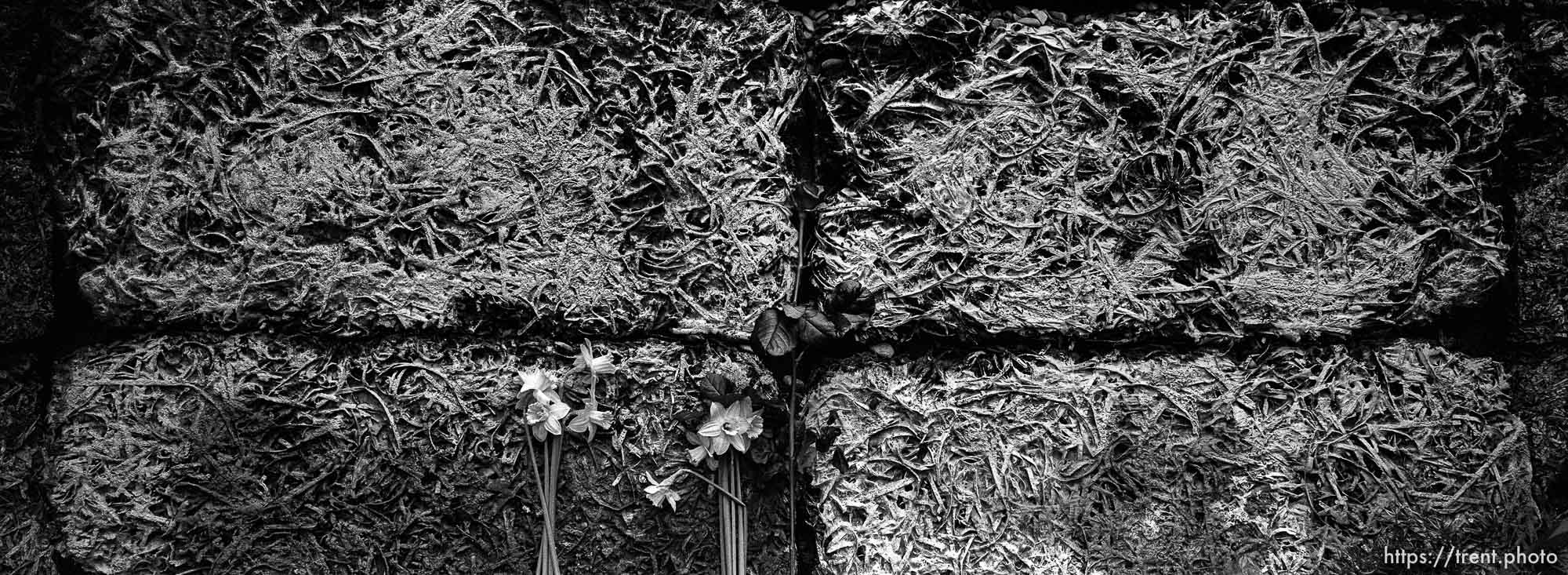 Detail of the Wall of Death at the Auschwitz Concentration Camp.