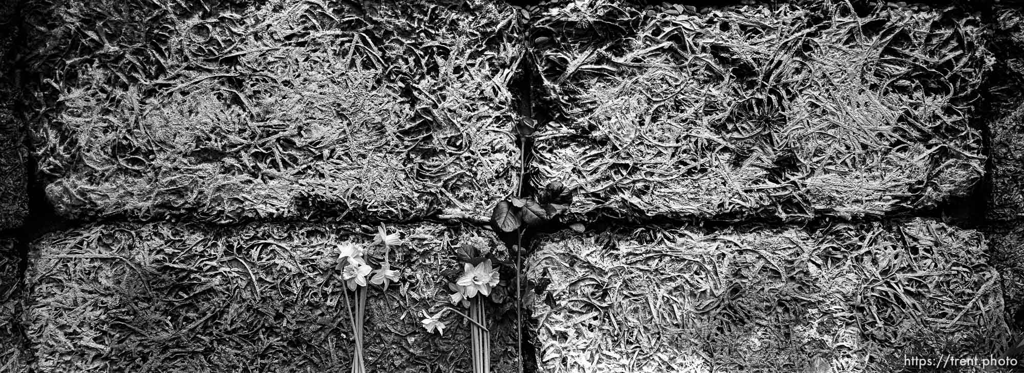 Wall of Death detail at the Auschwitz Concentration Camp.