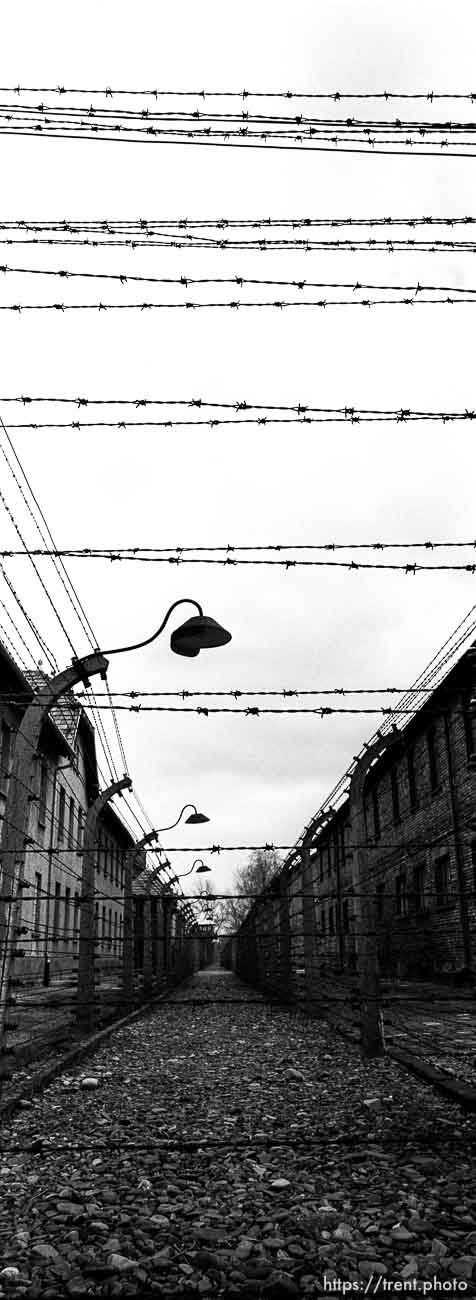 Barbed wire at the Auschwitz Concentration Camp.