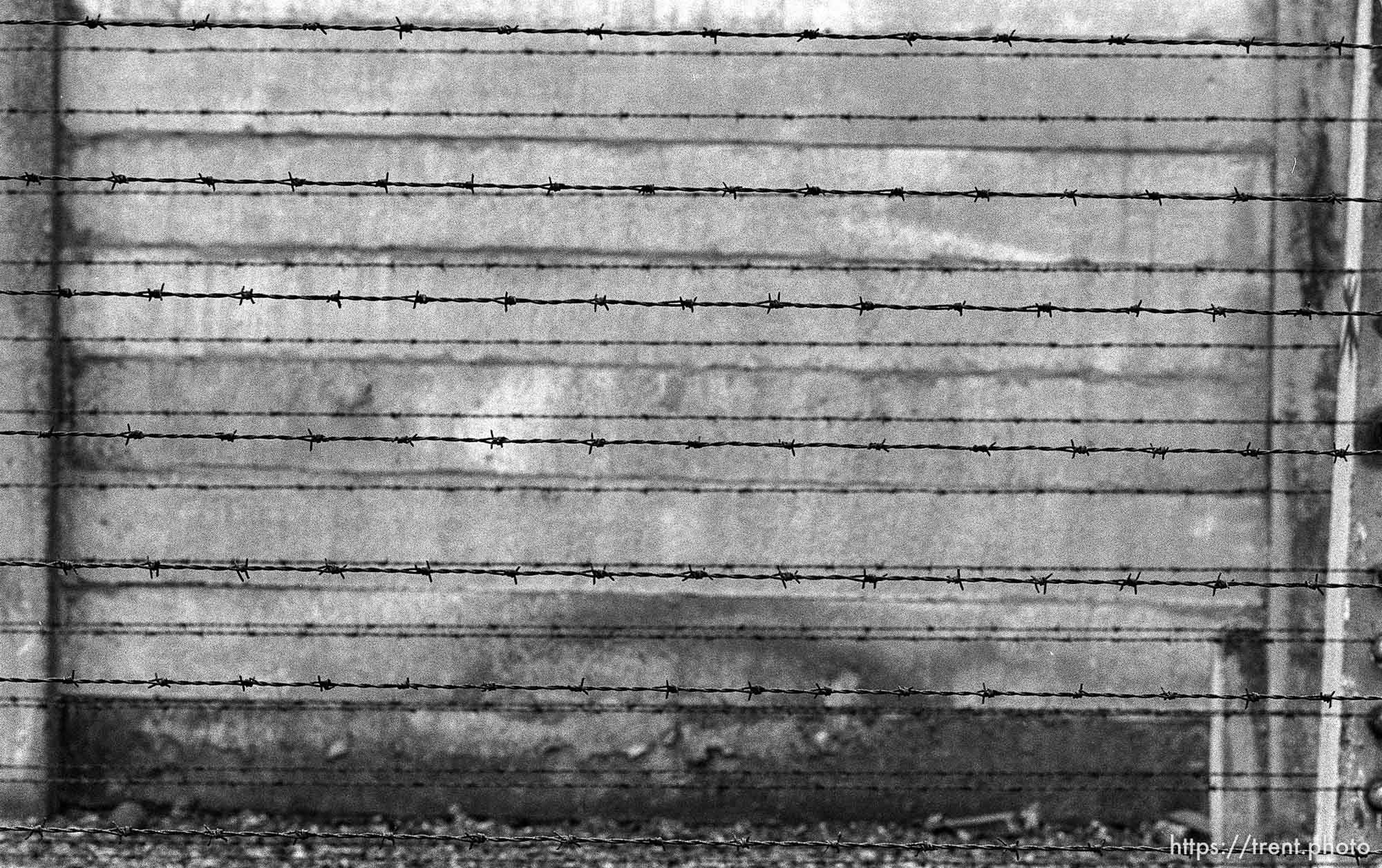 Barbed wire at the Auschwitz Concentration Camp.