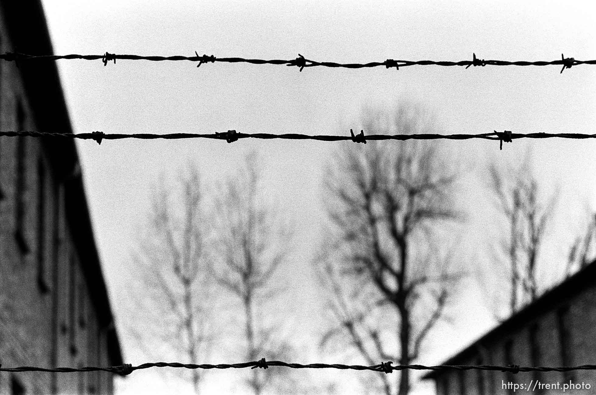 Barbed wire at the Auschwitz Concentration Camp.