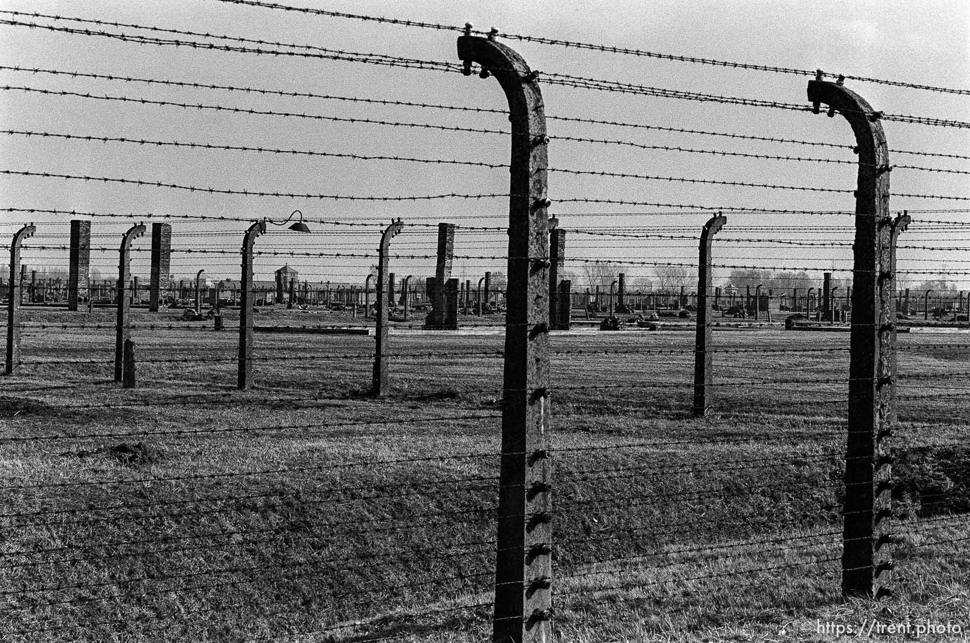 Barbed wire fences at the Birkenau Concentration Camp.