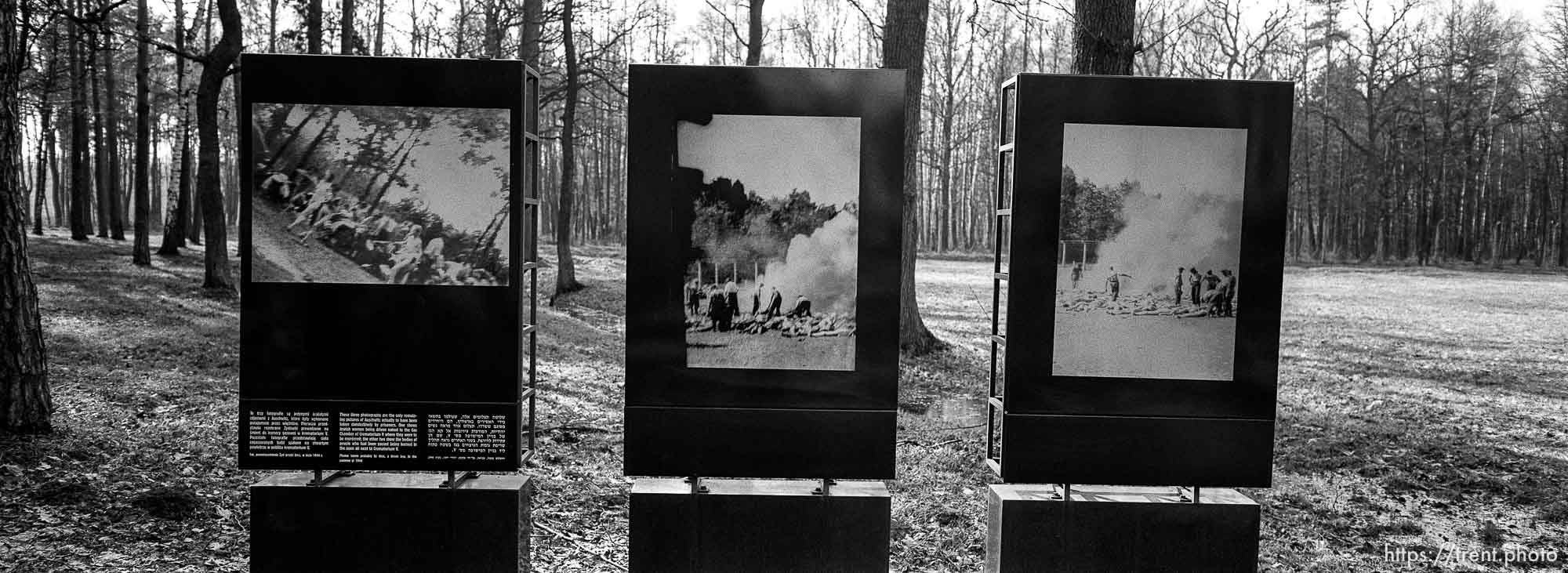 Plaques and field where bodies were burned at the Birkenau Concentration Camp.