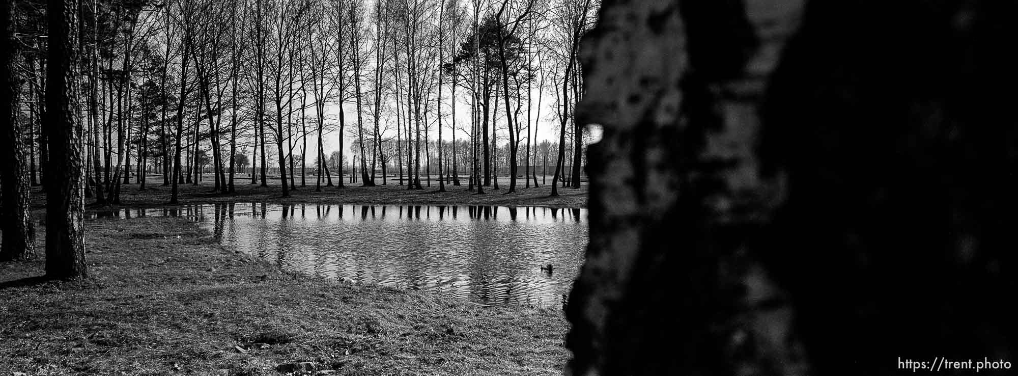 Pool filled with the ashes of the dead at the Birkenau Concentration Camp.