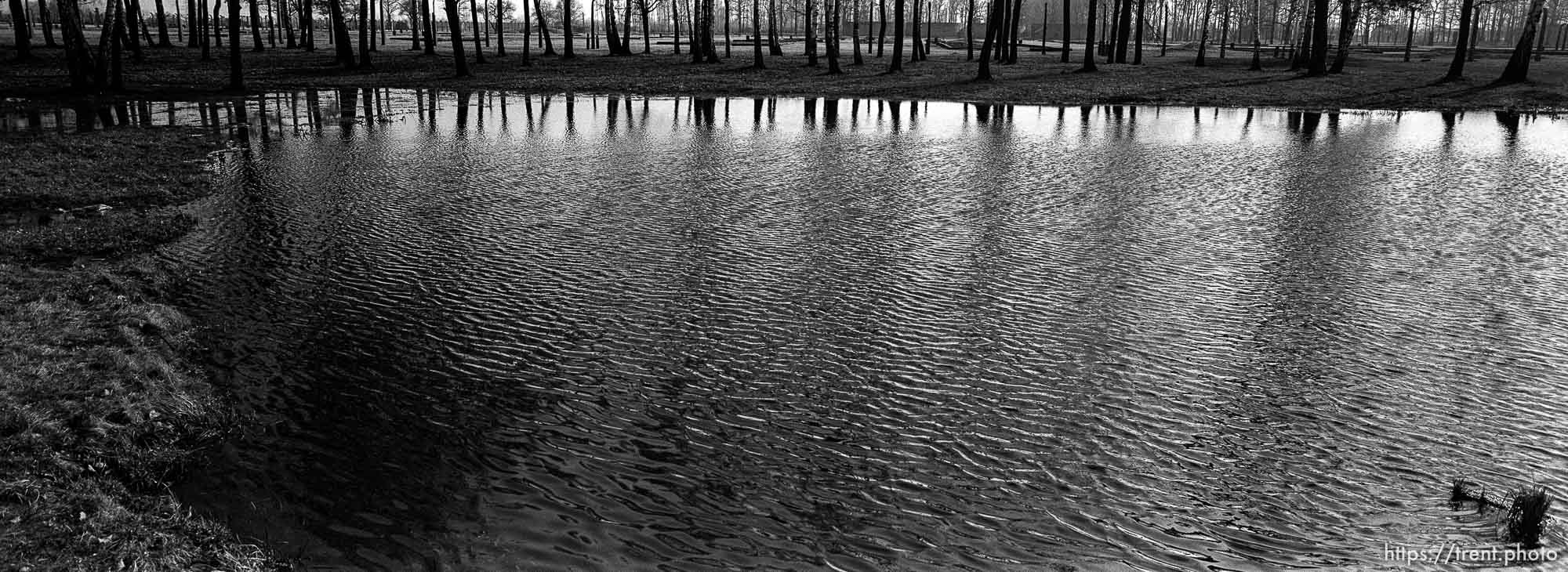 Pool filled with the ashes of the dead at the Birkenau Concentration Camp.