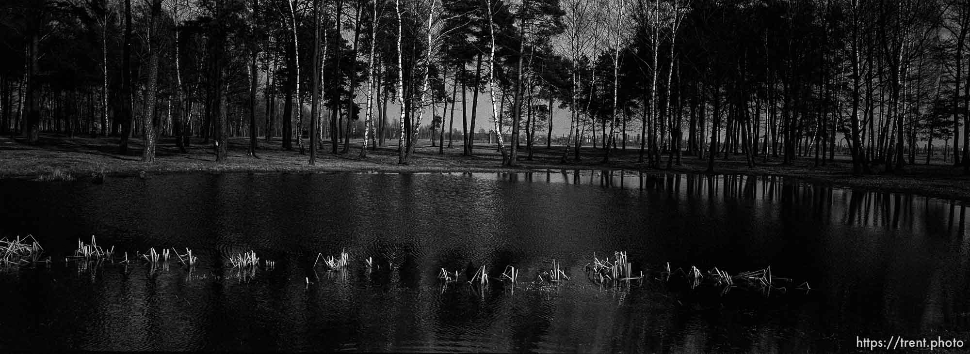 Pool filled with the ashes of the dead at the Birkenau Concentration Camp.