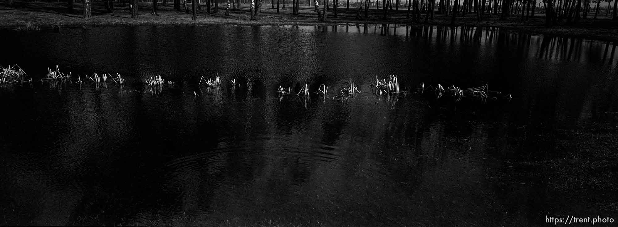 Pool filled with the ashes of the dead at the Birkenau Concentration Camp.