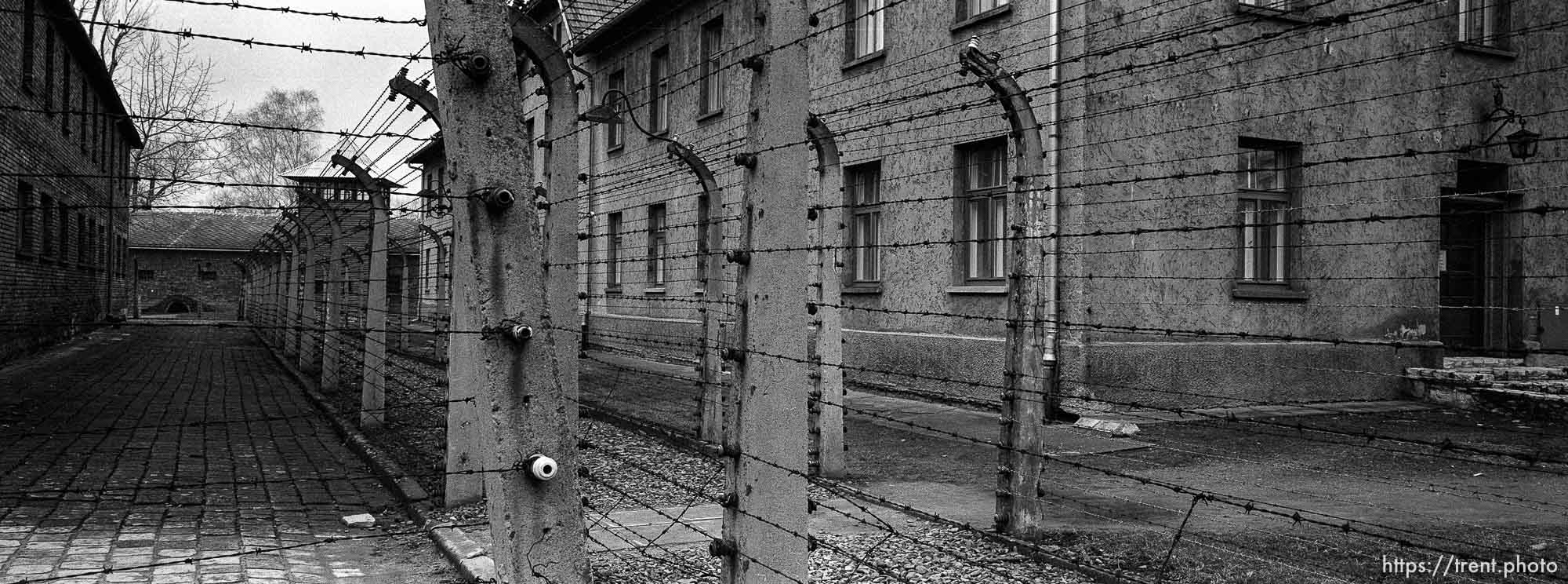 Barbed wire at the Auschwitz Concentration Camp.