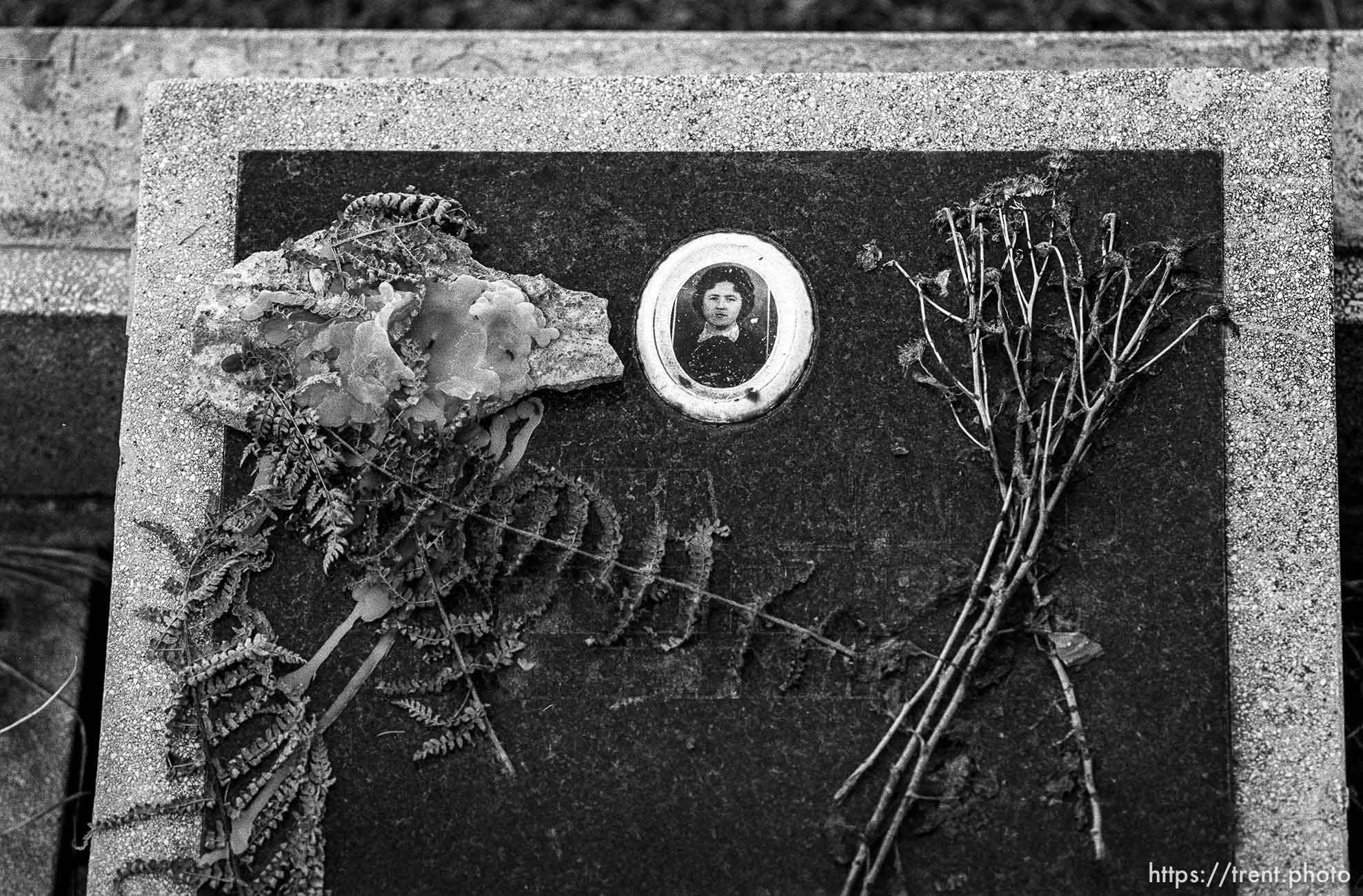 Graves in old cemetery