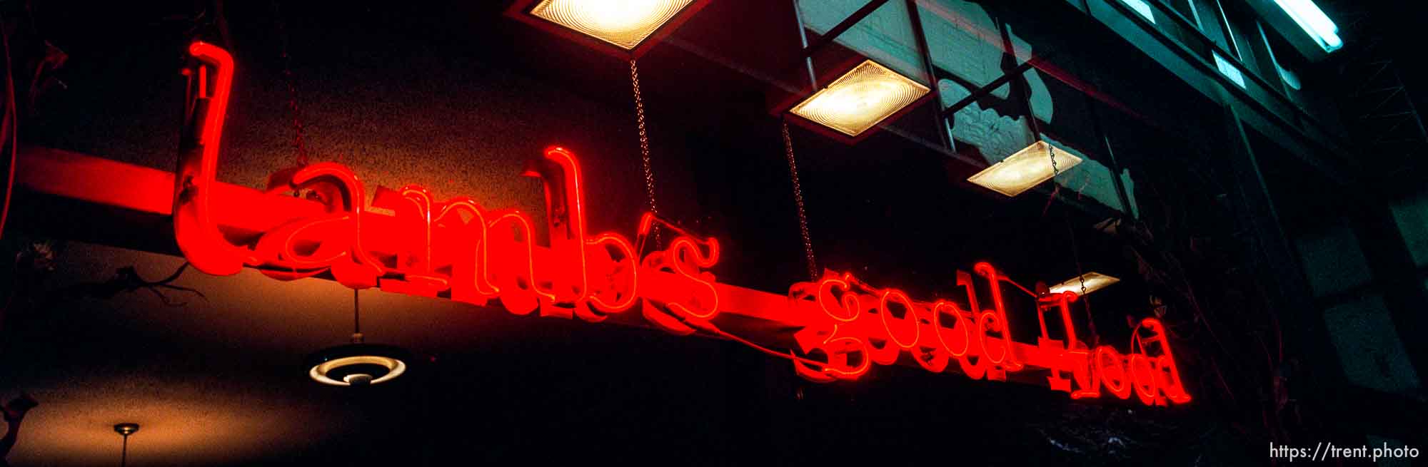 Lamb's good food neon sign. Downtown at night, during snowstorm.