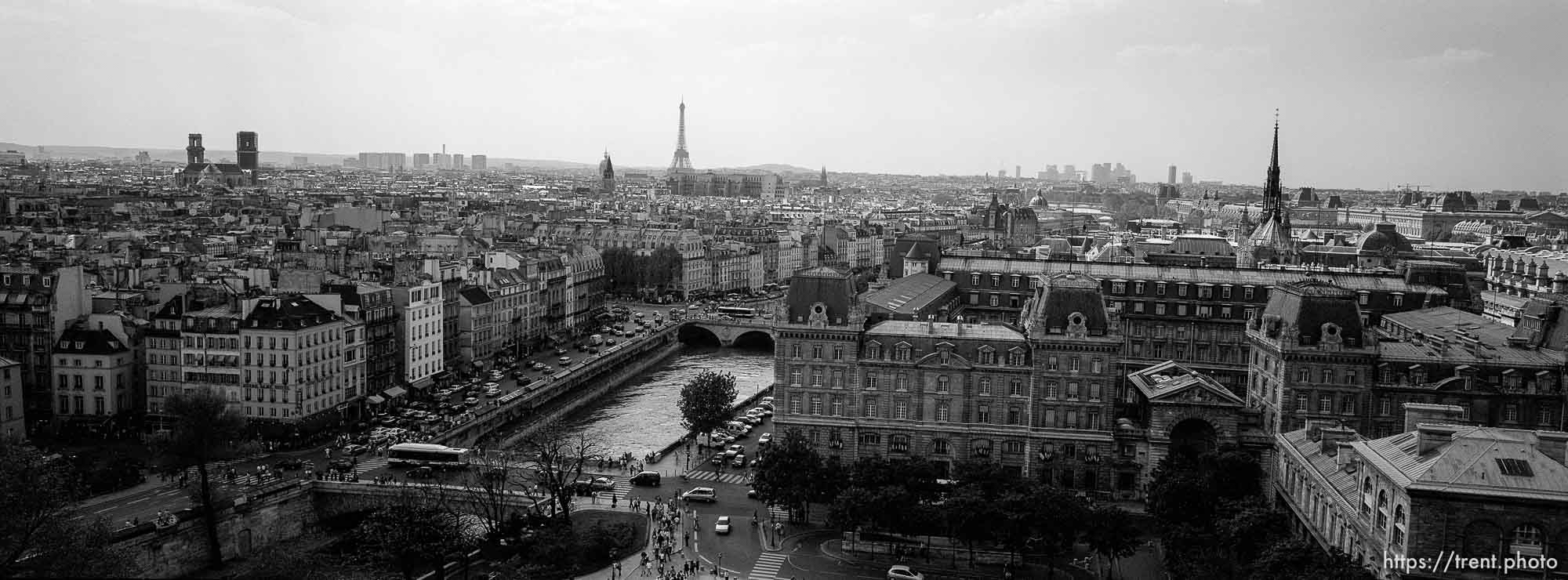 Cityscape from the top of Notre Dame