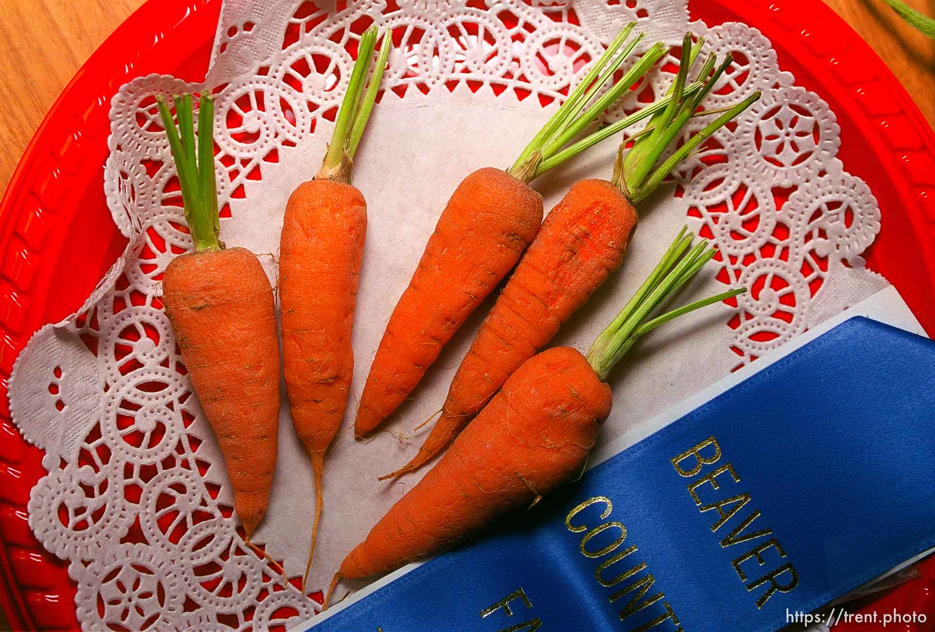 Krystle Smith's 1st place carrots. Beaver County Fair