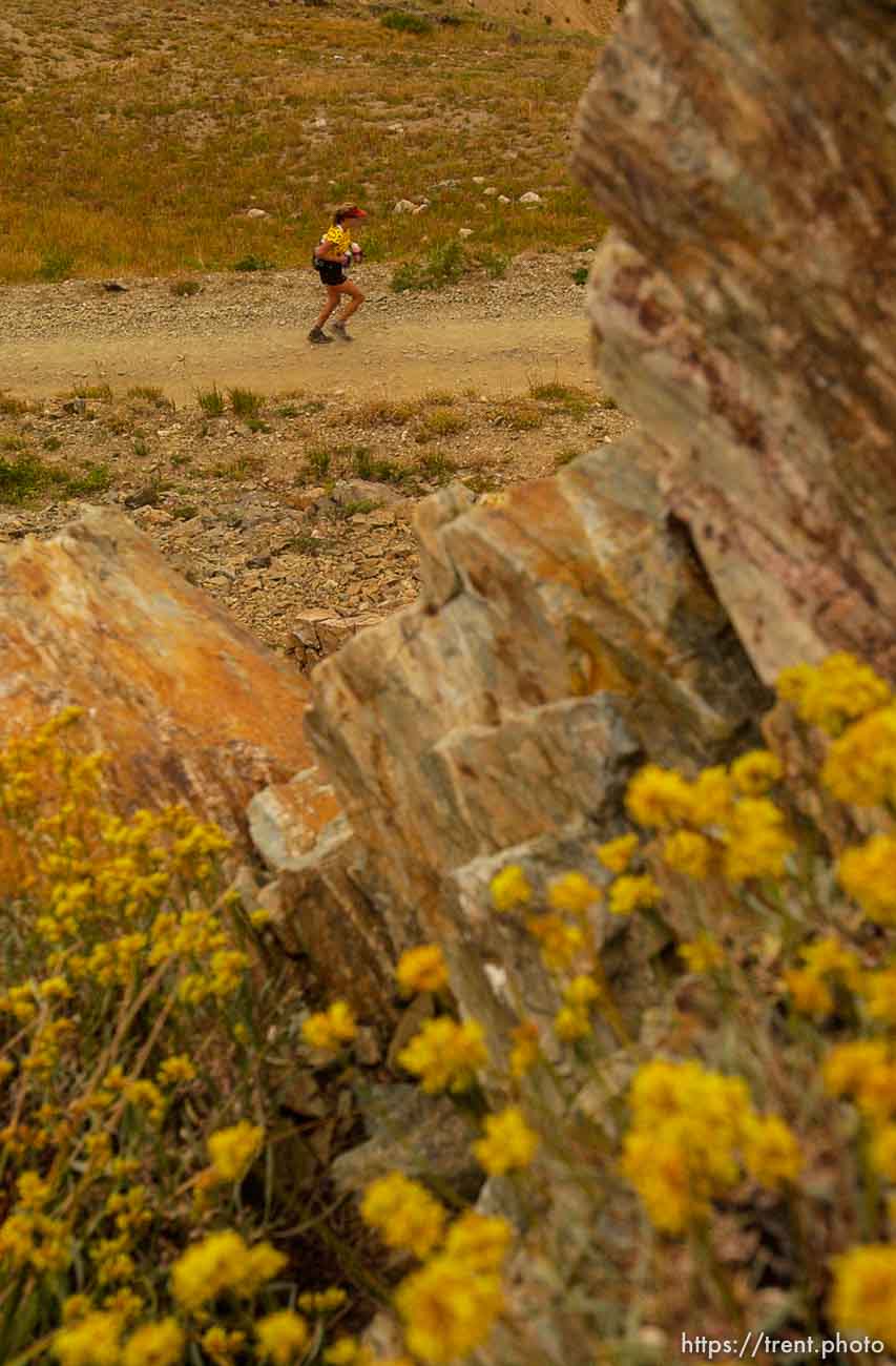 The Wasatch 100 Mile Endurance Run starts in Layton and ends in Midway, with over 53,000 feet of elevation change throughout the mountainous 100 mile course.